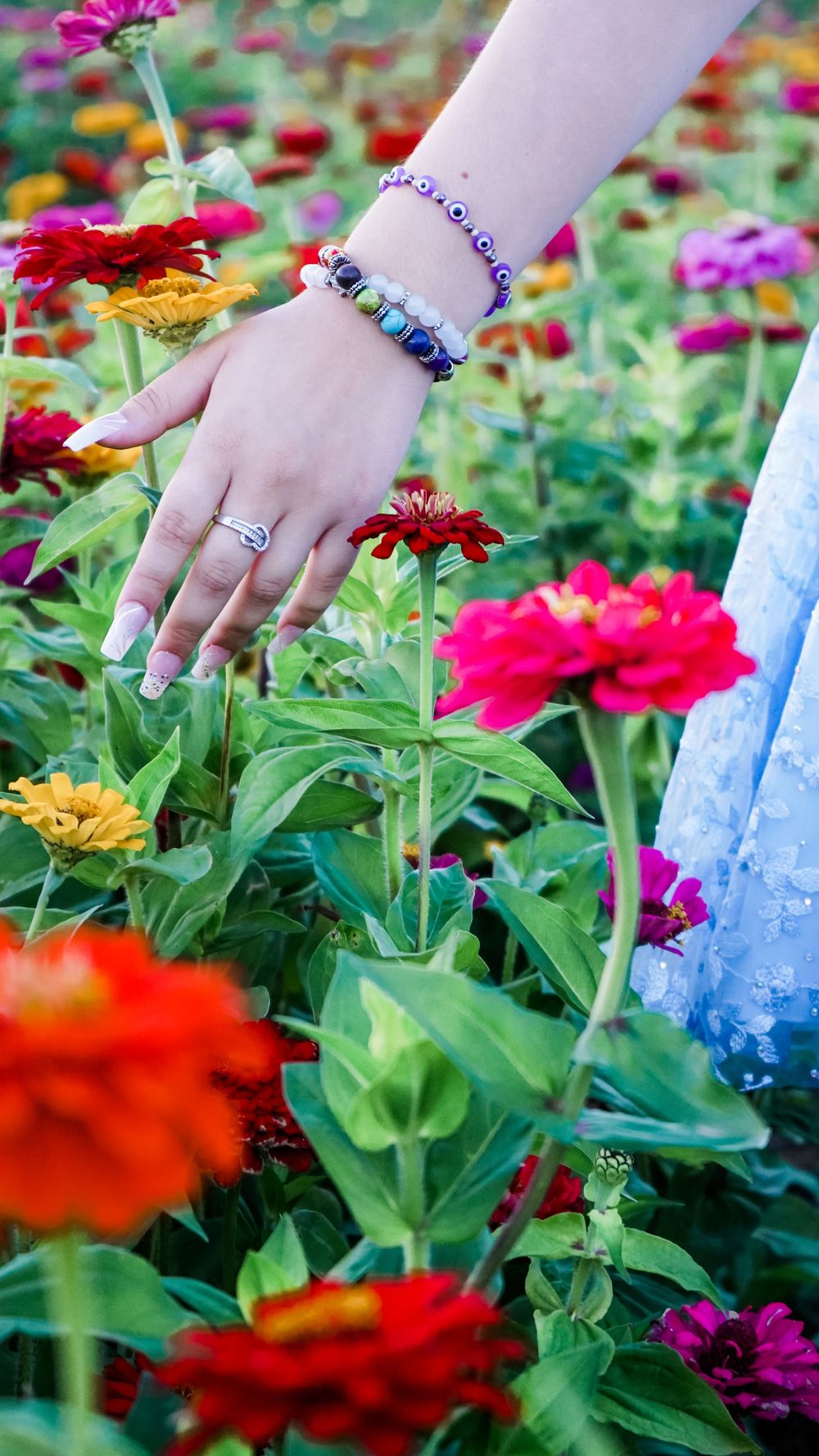 Close-up details of hands with jewelry touching colorful zinnia flowers in a garden.