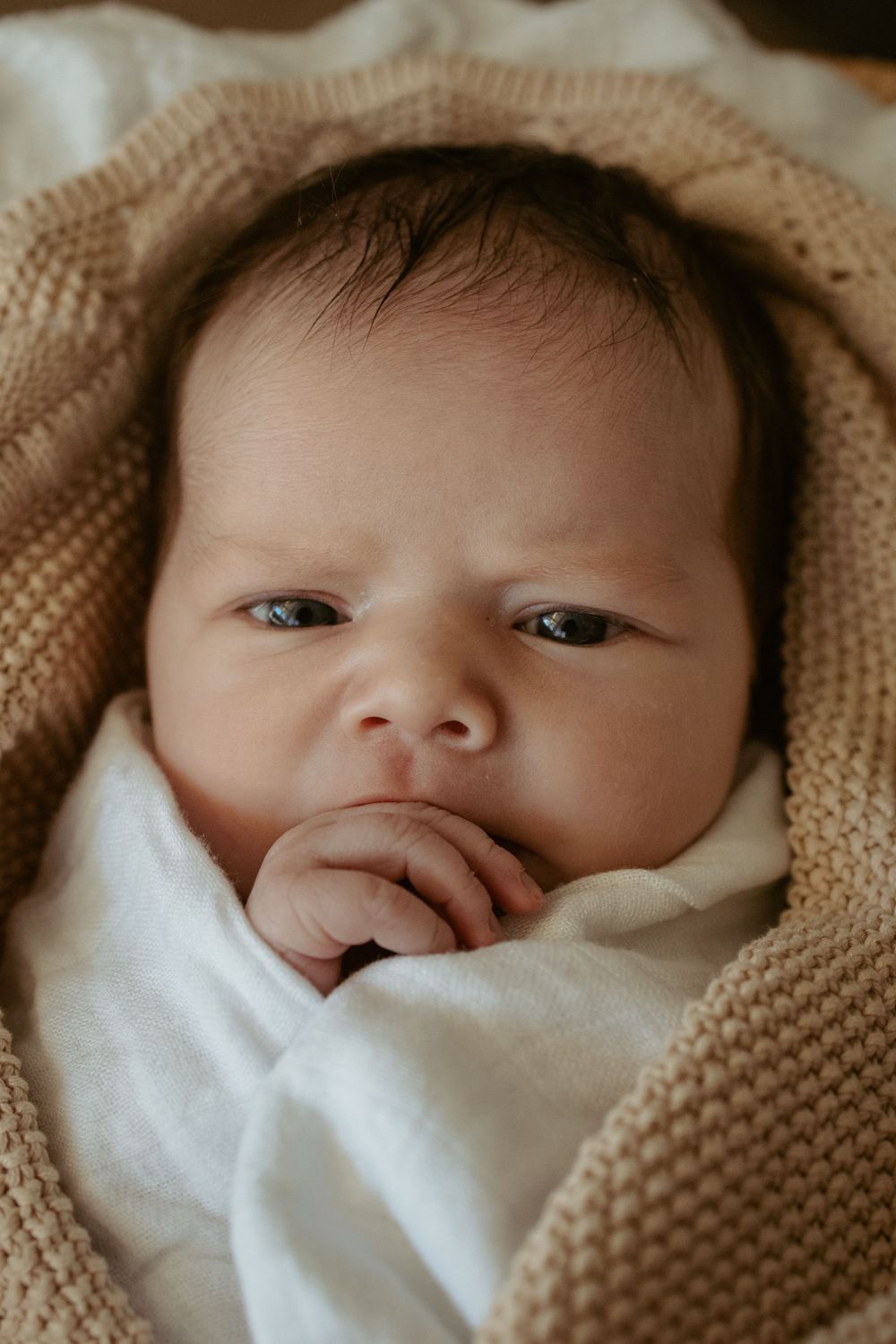 Hazel & Oak Photography Adelaide South Australia Photographer Maternity Family Newborn
