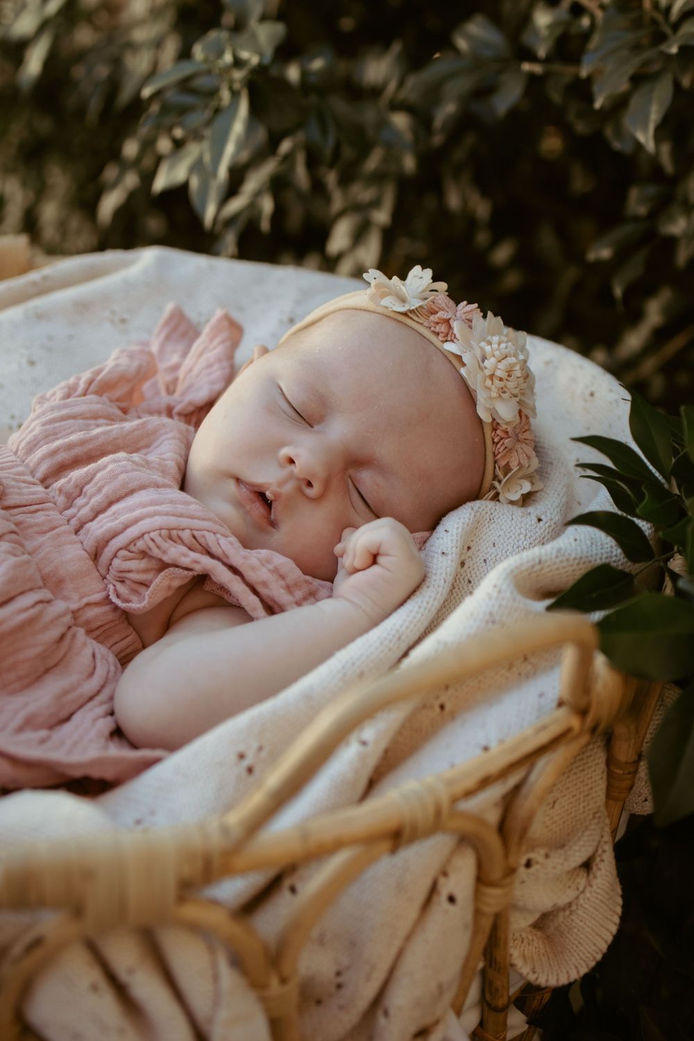 Hazel & Oak Photography Adelaide South Australia Photographer Maternity Family Newborn