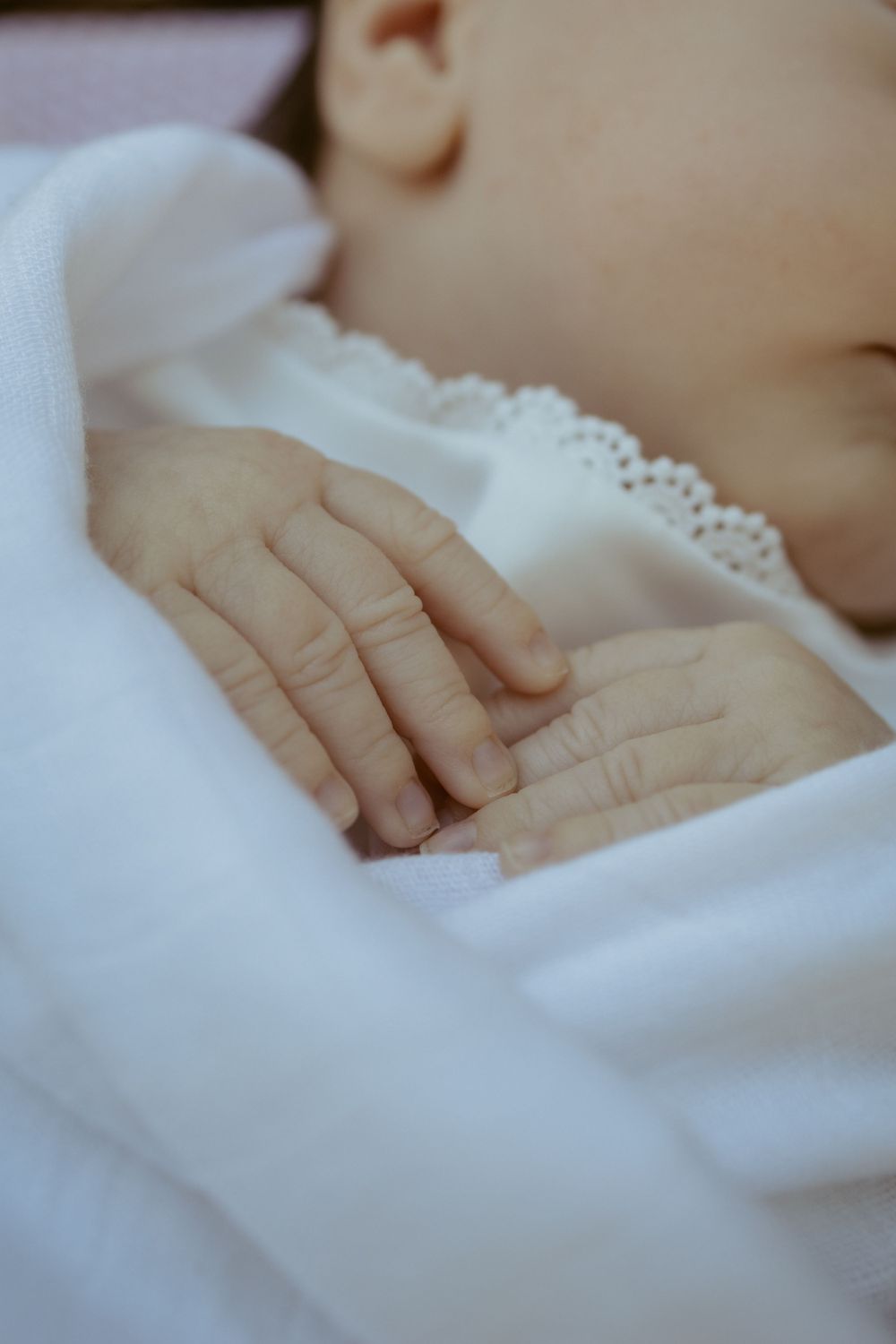 Hazel & Oak Photography Adelaide South Australia Photographer Maternity Family Newborn