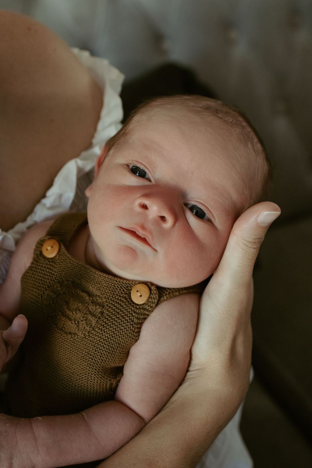 Hazel & Oak Photography Adelaide South Australia Photographer Maternity Family Newborn