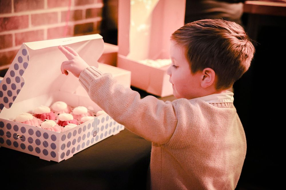 A small boy peeks into a cupcake box.