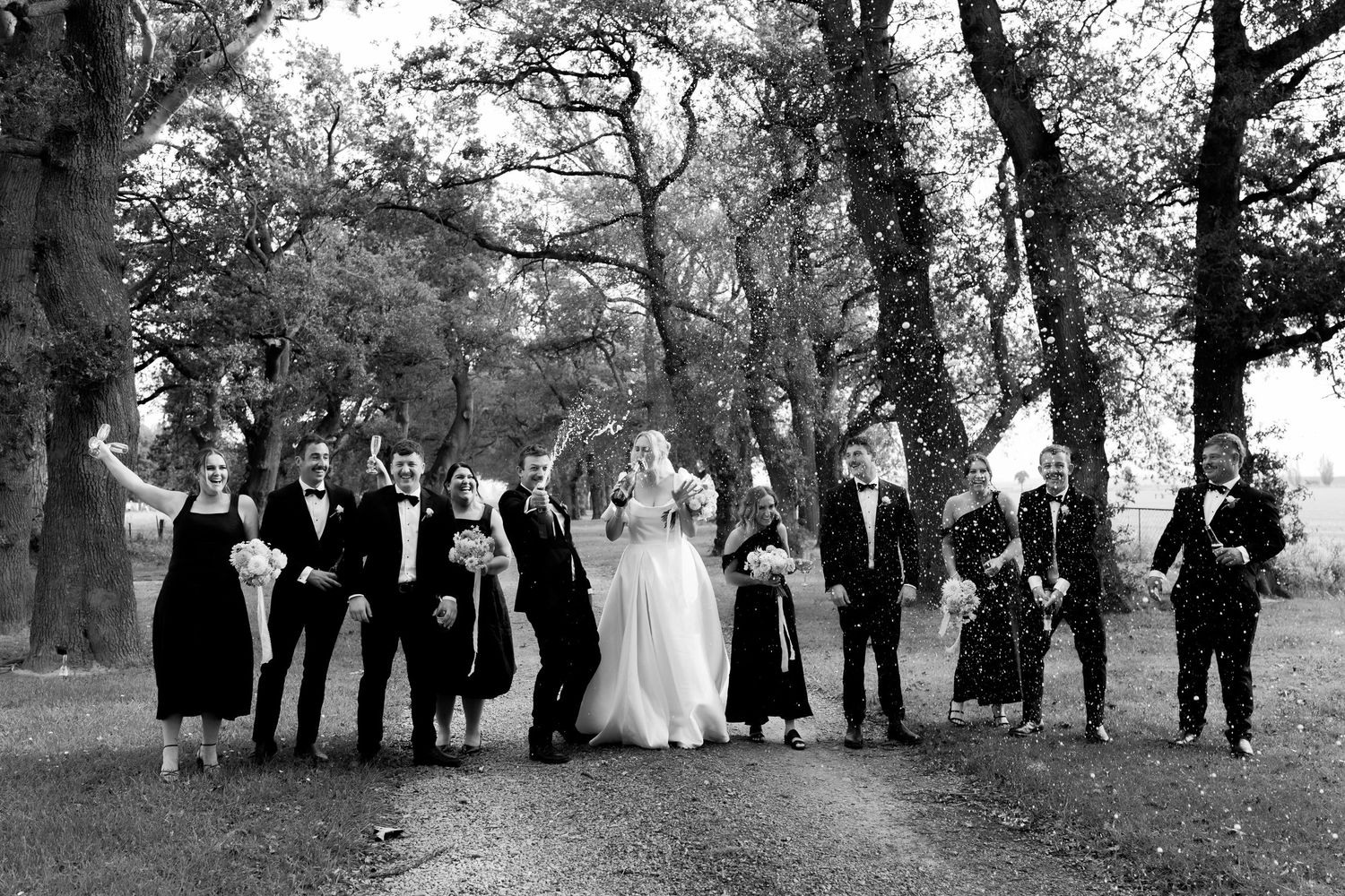 A wedding couple stands in a golden field with a flowing veil caught in the breeze.