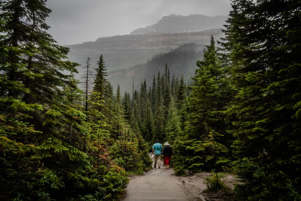 #takakkafallsengagement #yohonationalpark #yegweddingphotographer #mountainweddingphotographer #waterfallsphotoshoot