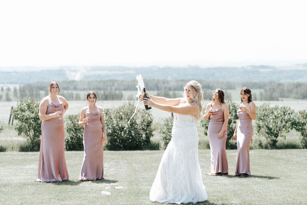 Wedding party in pink dresses poses in a meadow against a scenic landscape.