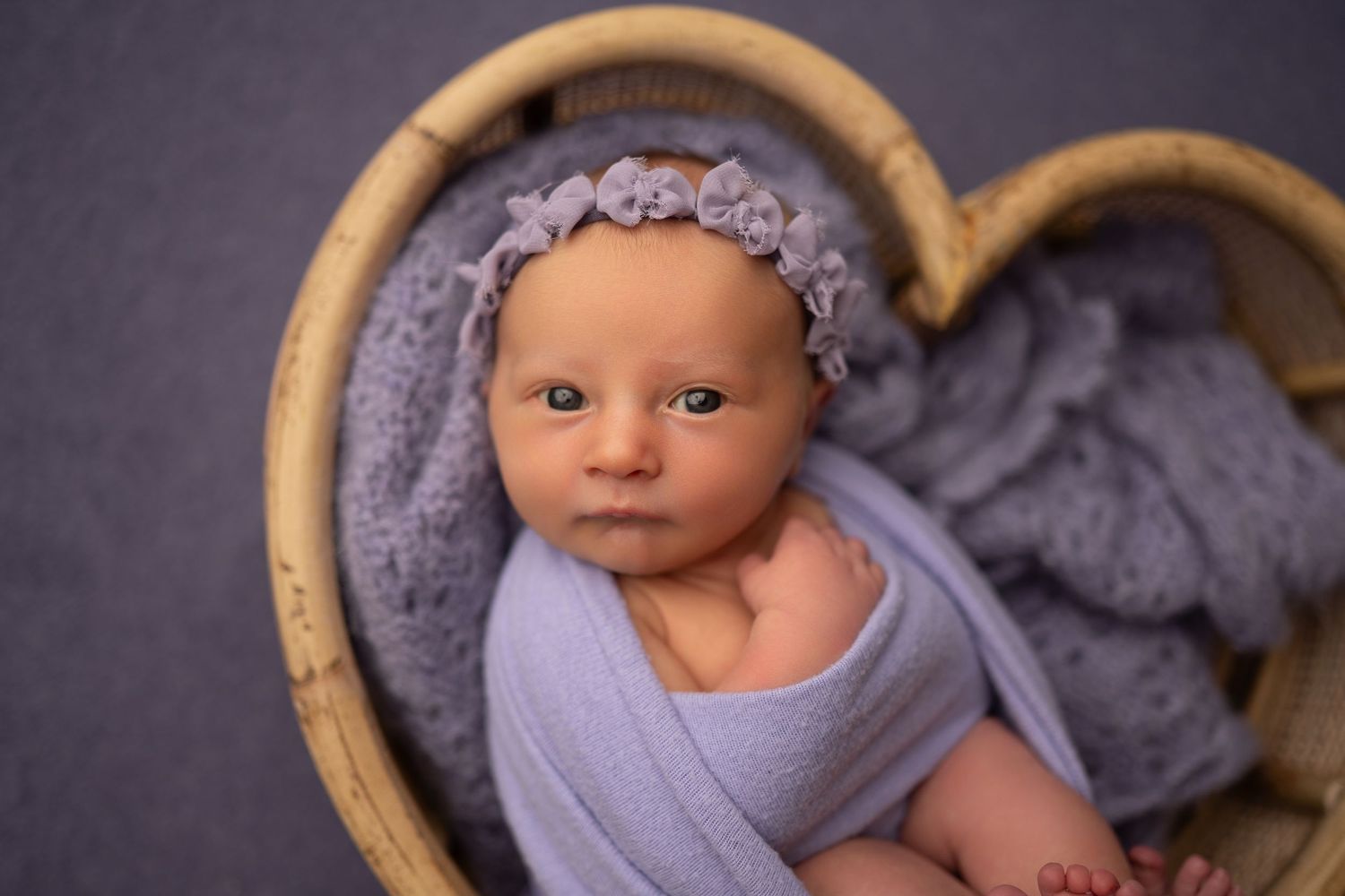 Studio newborn by Dayton, Ohio based newborn photographer Disney Magic Photography, serving Beavercreek, Bellbrook, Kettering and more.