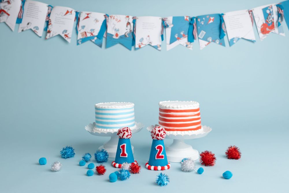 Cat in the Hat themed cake smash for twins, taken by Jen Knightstep, Photographer