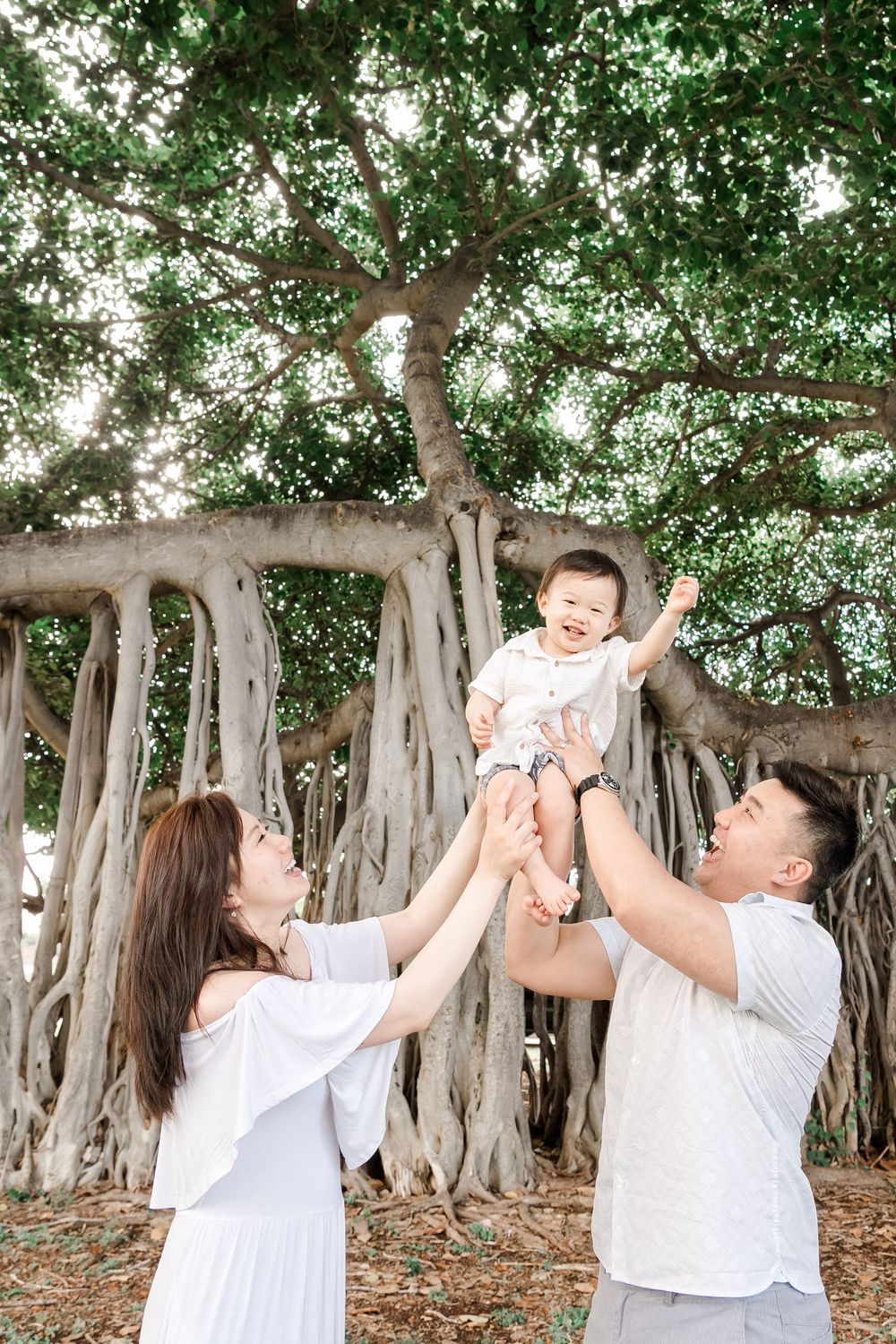 A family plays together under a large banyan tree with sprawling aerial roots in a joyful outdoor moment.