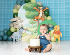 cake smash, richmond, ky cake smash, custom cake smash, Lexington, ky cake smash, cake smash photographer, cake smash session first birthday