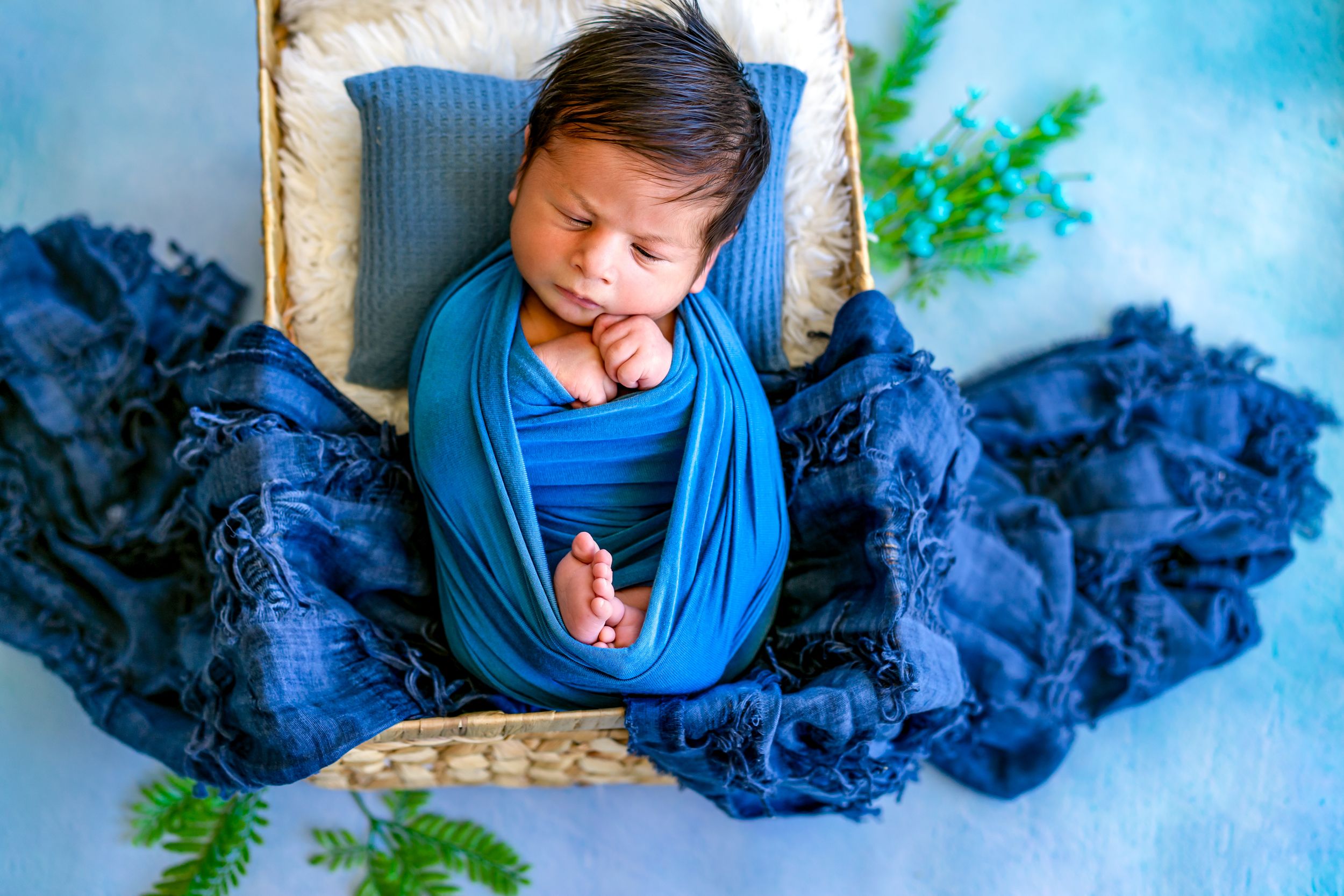 Newborn photography with deep blue wraps and natural greenery accents.