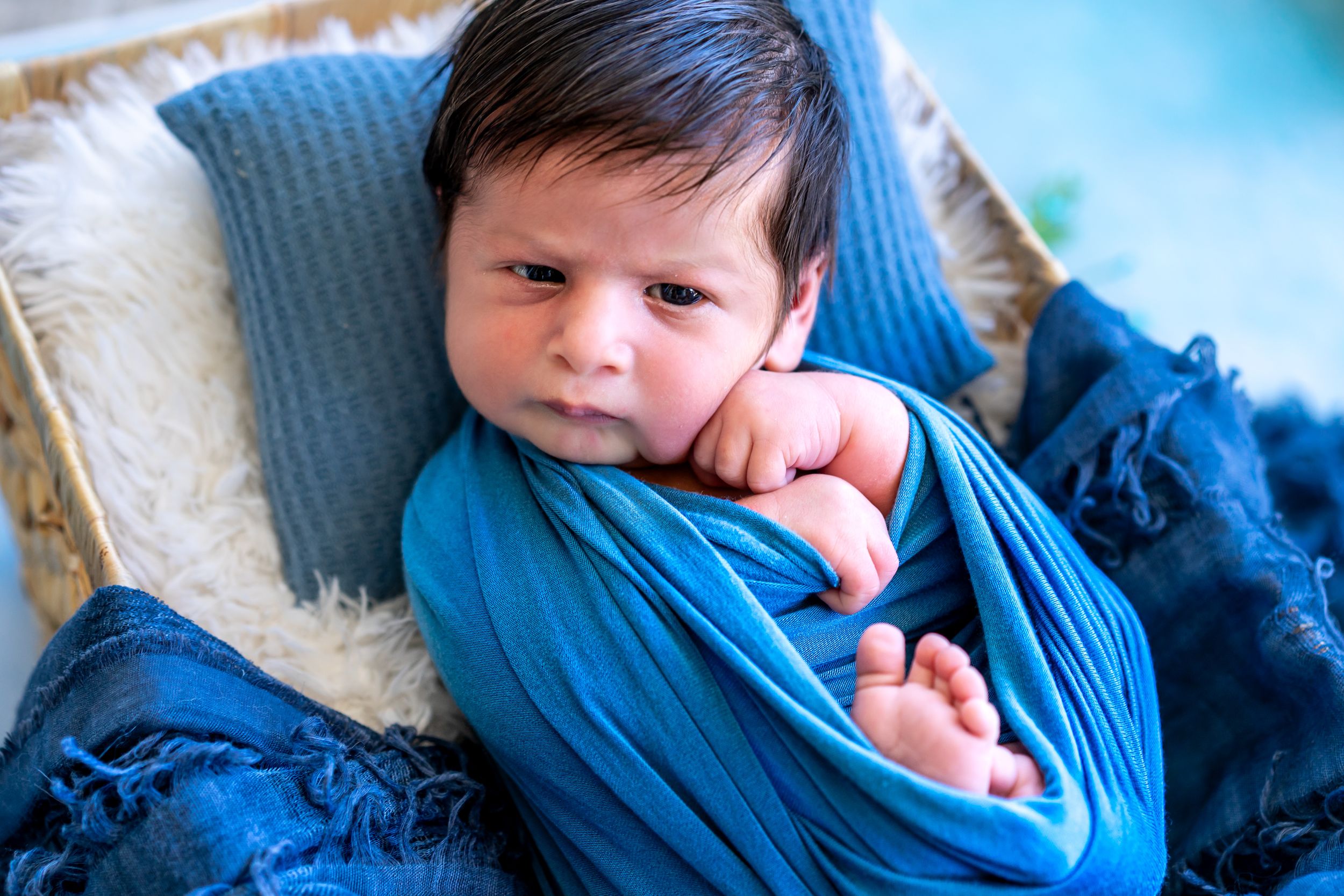 Artistic newborn portrait with navy blue wrapping against light backdrop.