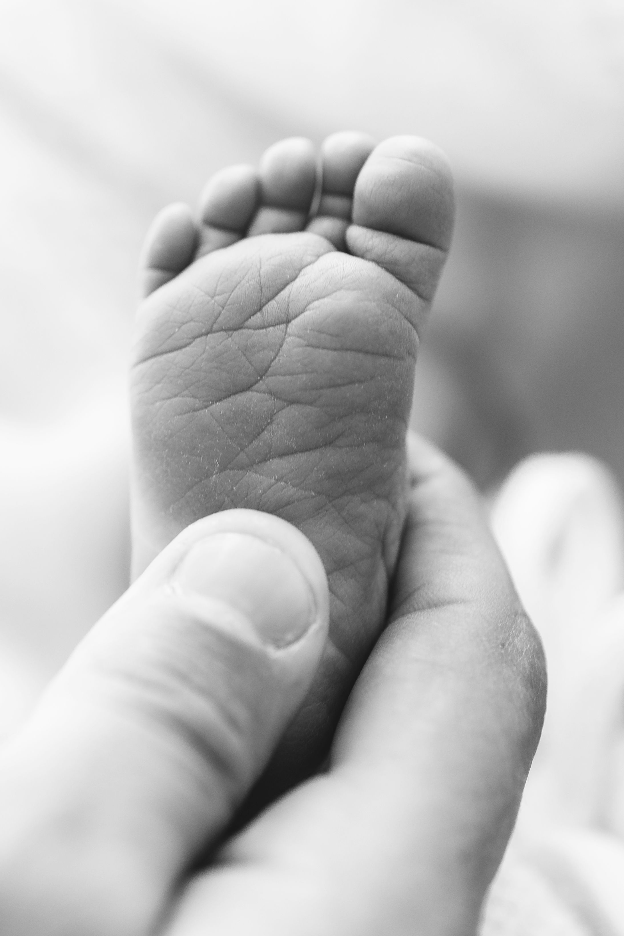 Black and white close-up of newborn baby feet cradled in parent's hand.