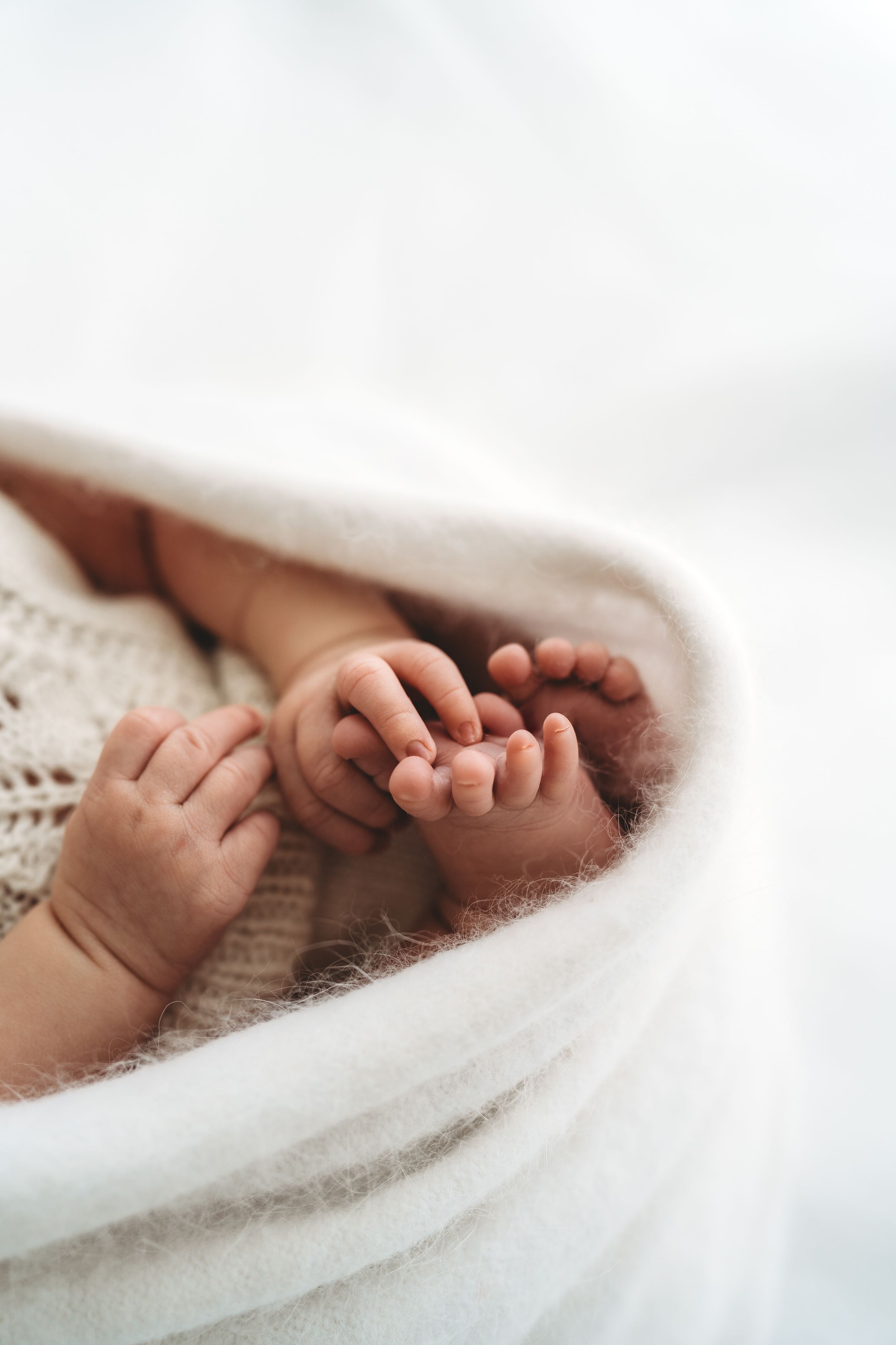 Close-up of a sleeping newborn baby's tiny hands and feet wrapped in a white blanket.