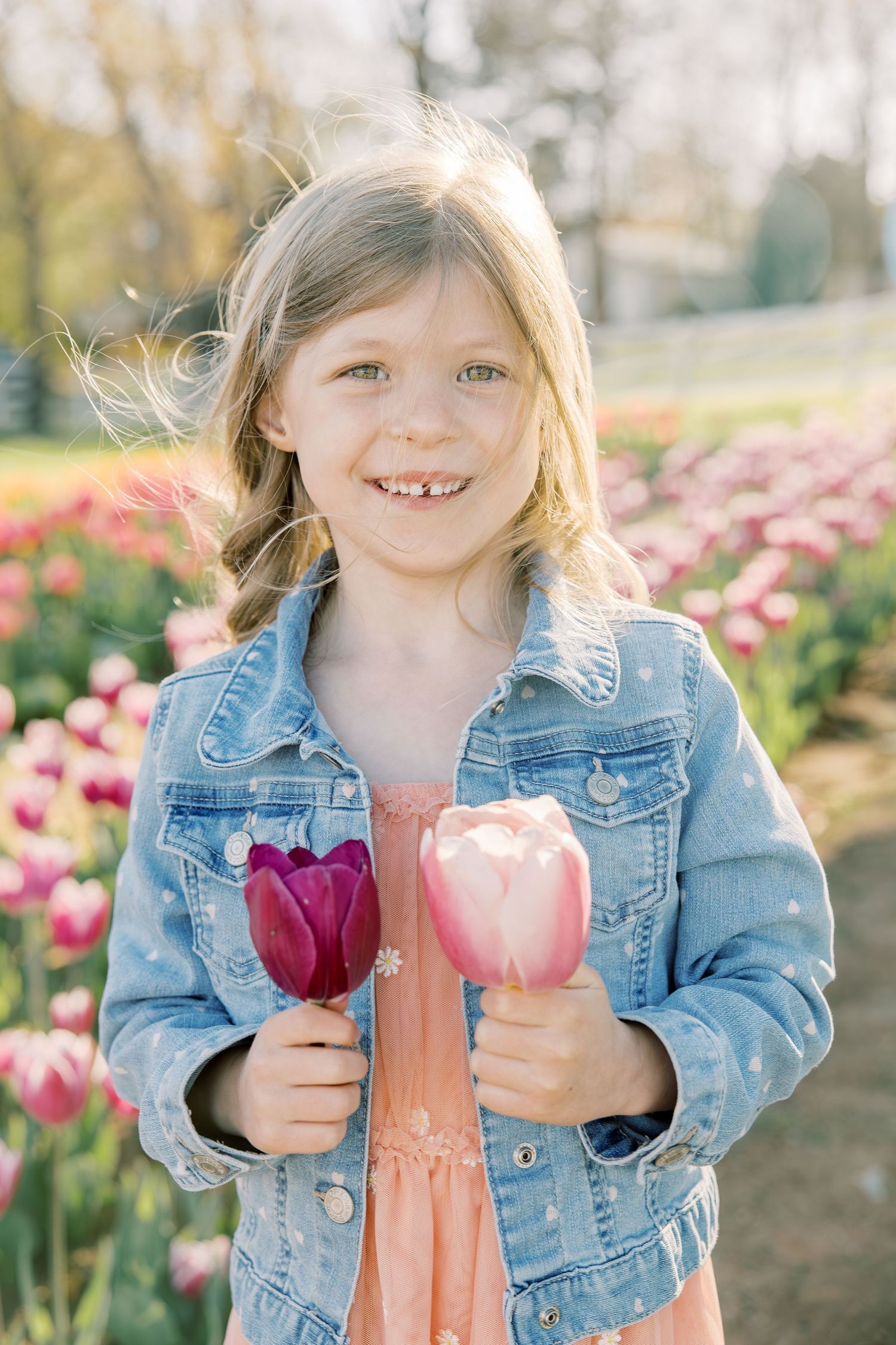 Smiling young girl in denim jacket holding purple and pink tulips in colorful tulip field.