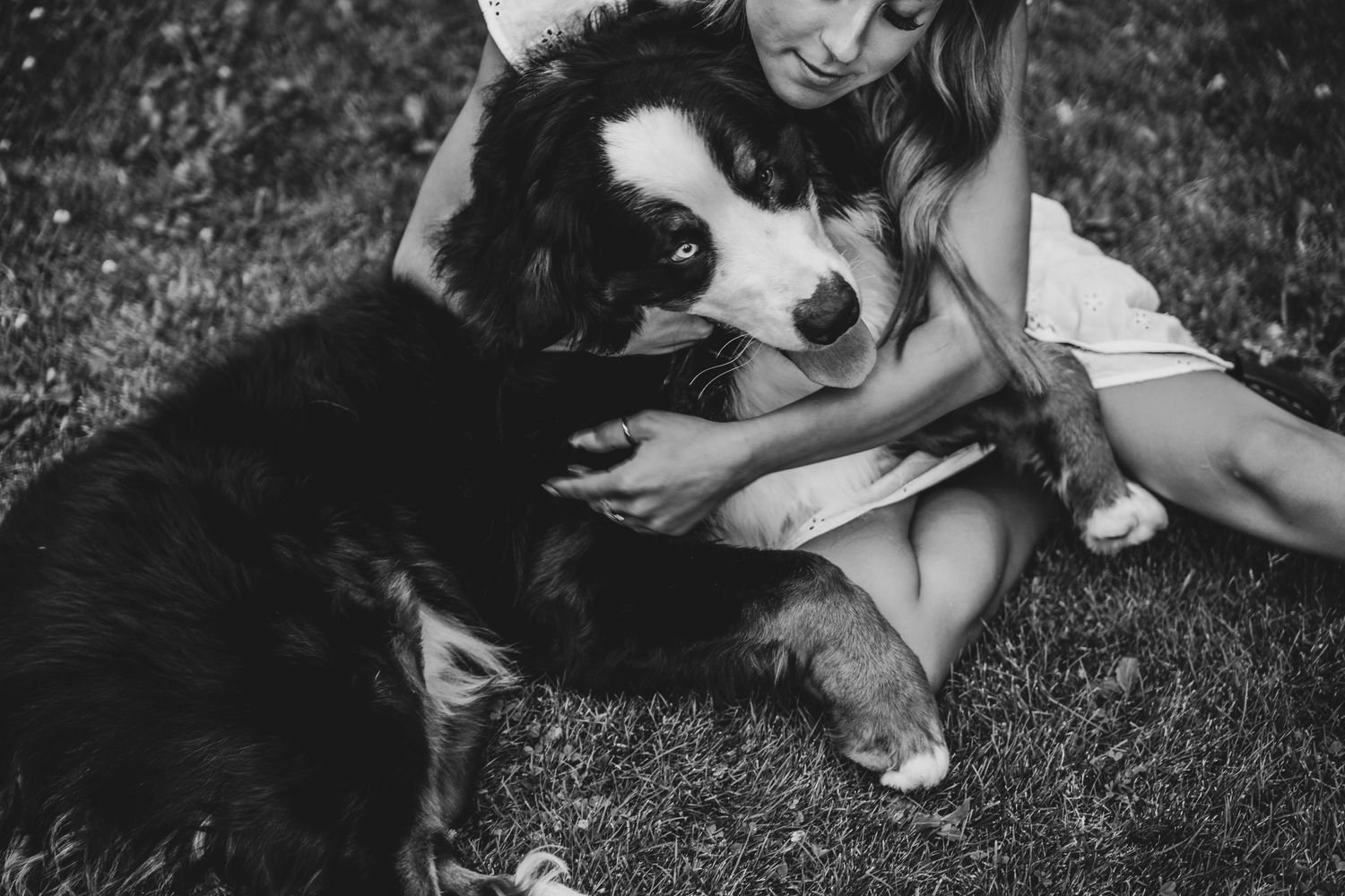 Black and white photo of girl sitting on grass cuddling large Bernese Mountain Dog.