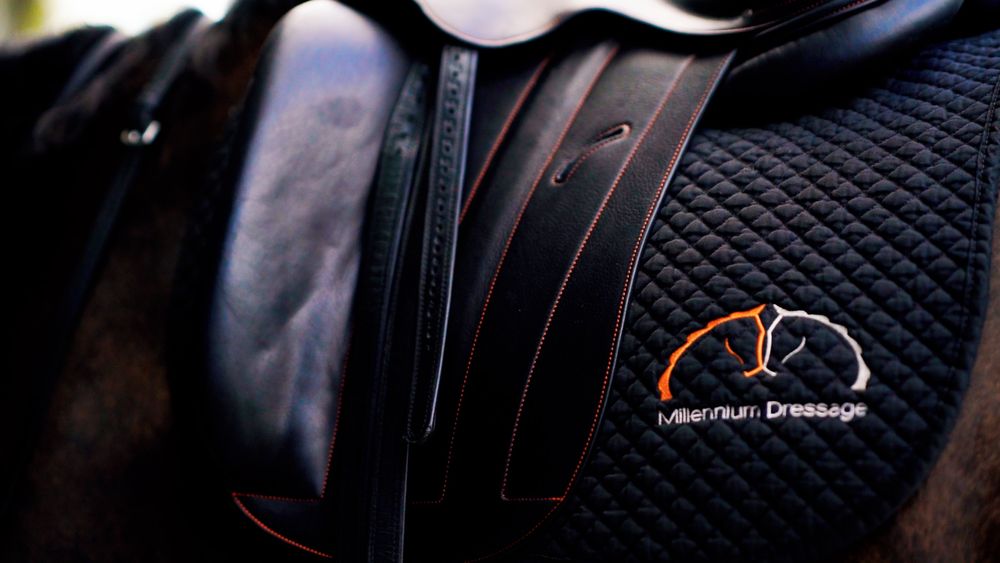 Close-up view of black motorcycle gloves with protective padding and ventilation details.