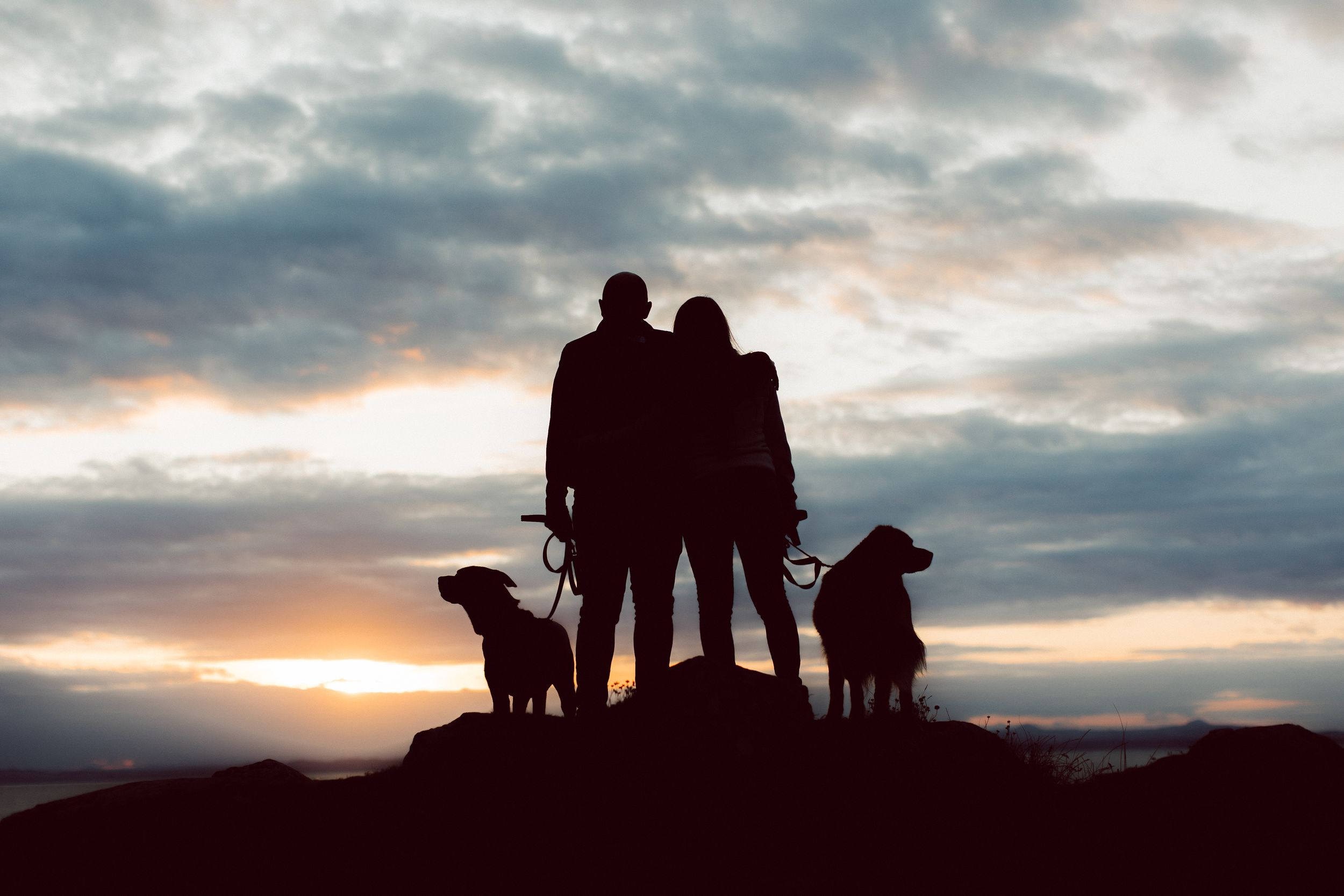 Silhouettes of people and a dog standing together against a dramatic cloudy sunset sky.