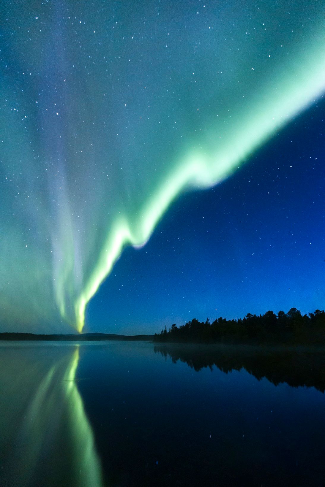 Stunning green aurora borealis dancing over a calm reflective lake with silhouetted forest treeline.