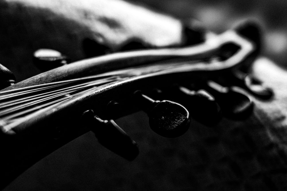 Detail of a turkish oud.