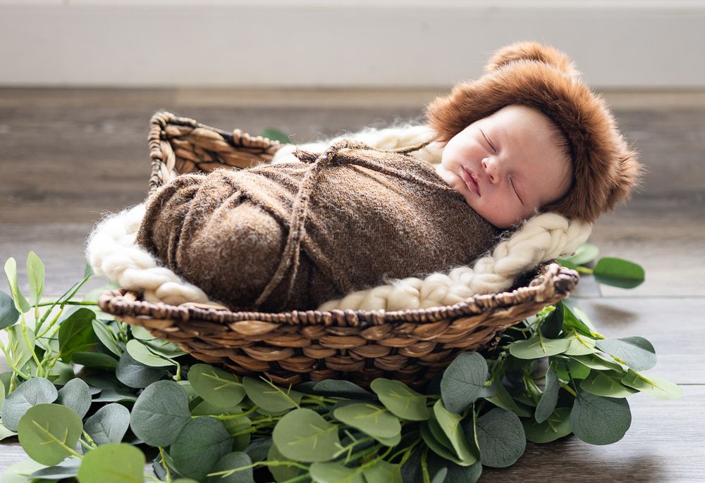 Sleeping newborn in a brown bonnet nestled in a basket with greenery during a studio session in Mountain Home, Arkansas