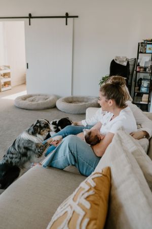 A peaceful moment on a couch with a sleeping infant and an Australian shepherd dog resting nearby.