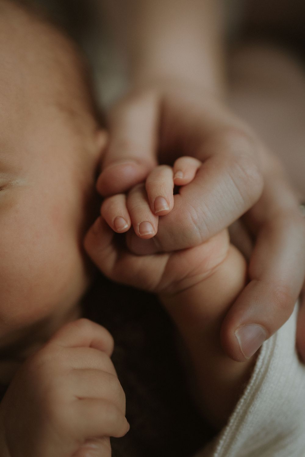 Close-up shot of tiny baby fingers grasping an adult's finger against a soft blurred background.