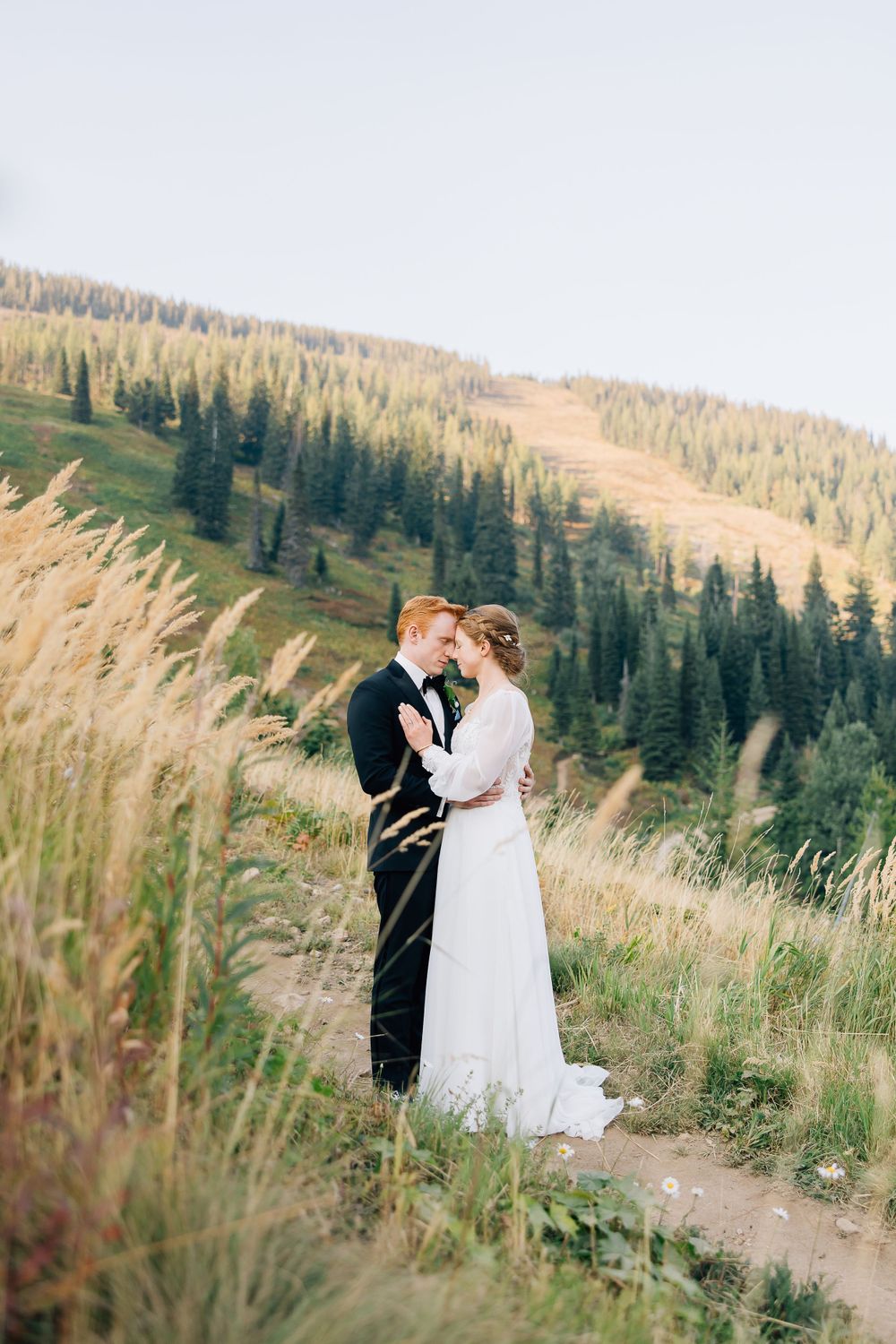 Bride and groom sharing intimate moment on mountainside with pine forest in background.