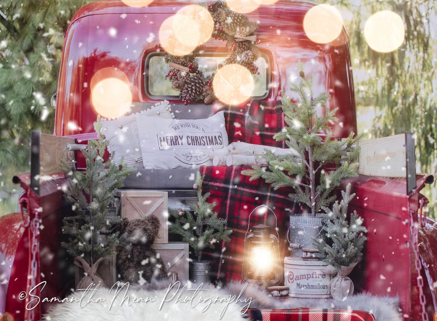 Christmas Shoot