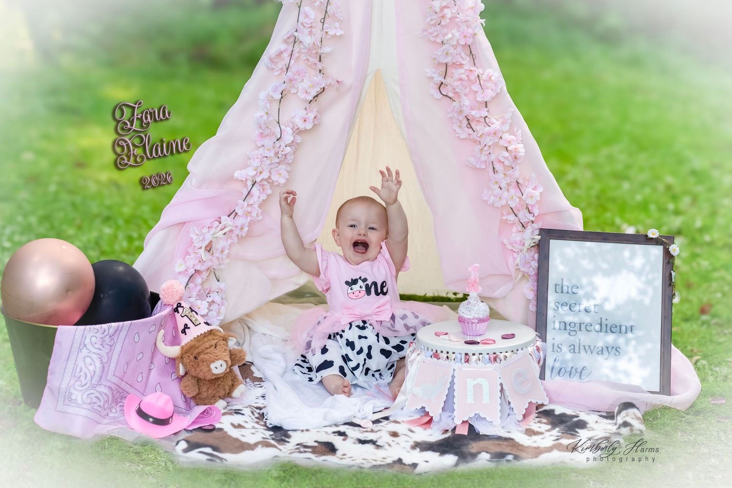 1st birthday photography near Weirton, WV 1st birthday photos near Steubenville, OH 1st birthday photos near Burgettstown, PA