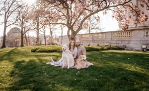 A romantic sunset engagement session in a grassy field with warm golden light filtering through the trees.