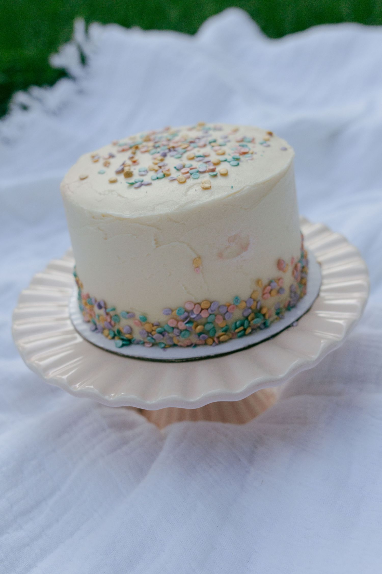 White celebration cake decorated with pastel sprinkles on plate against white backdrop.