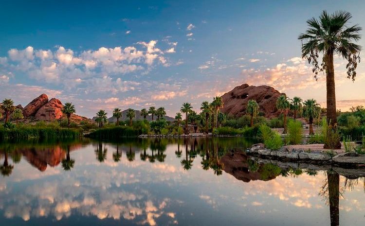 Scenic desert oasis with palm trees and red rock formations reflecting in calm water at sunset.