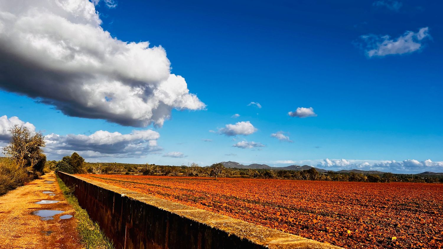 Plowed agricultural field stretches along a dirt path under dramatic clouds and blue sky on a sunny autumn day.