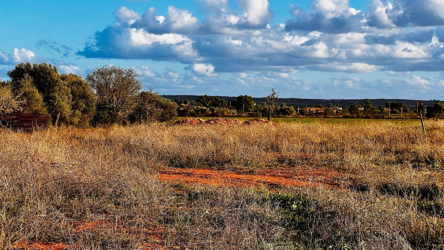A scenic landscape with golden grass fields, red soil, and scattered trees under a dramatic blue sky with puffy clouds.