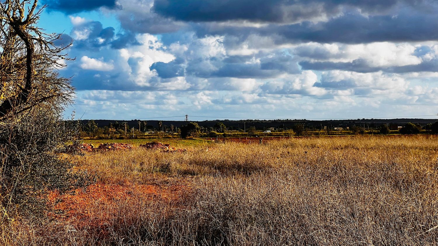 Dramatic panoramic landscape with stormy clouds over autumn fields and bare trees silhouetted against a blue sky.
