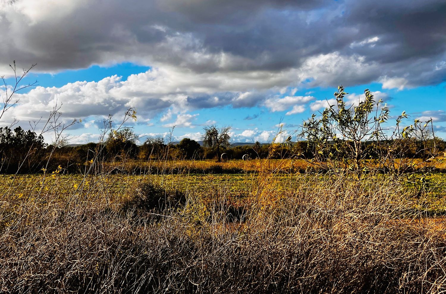 Dramatic panoramic view of dark storm clouds rolling over a rural field under moody skies.
