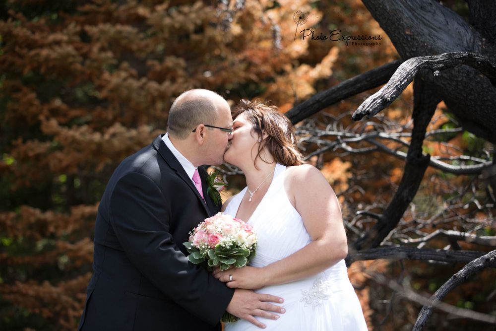 Romantic wedding photos captured in a wooded setting with dramatic lighting.
