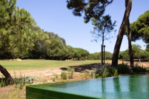 An infinity pool overlooking a grassy area with pine trees on a sunny day.