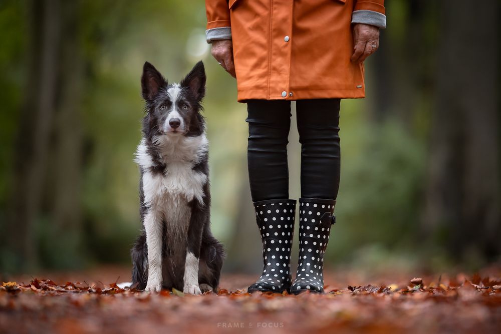 border collie en baasje met regenjas en kaplaarzen in het bos
