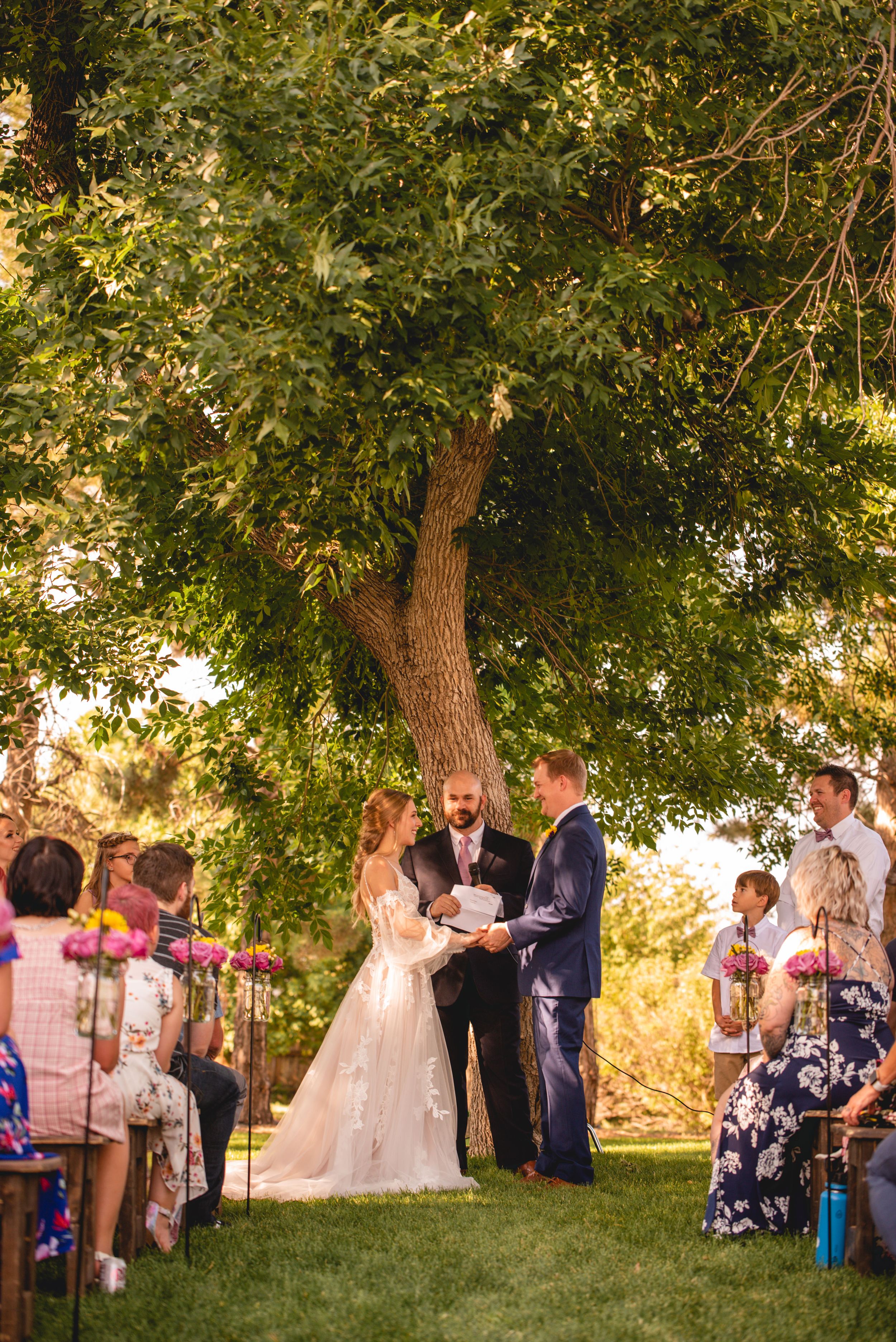 Wedding ceremony under large tree with golden sunlight filtering through leaves and guests seated on lawn.