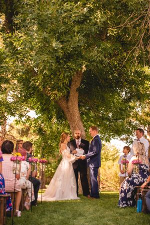 Wedding ceremony under large tree with golden sunlight filtering through leaves and guests seated on lawn.