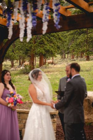 A scenic outdoor wedding ceremony at a rustic mountain venue with elk grazing in the forest background.