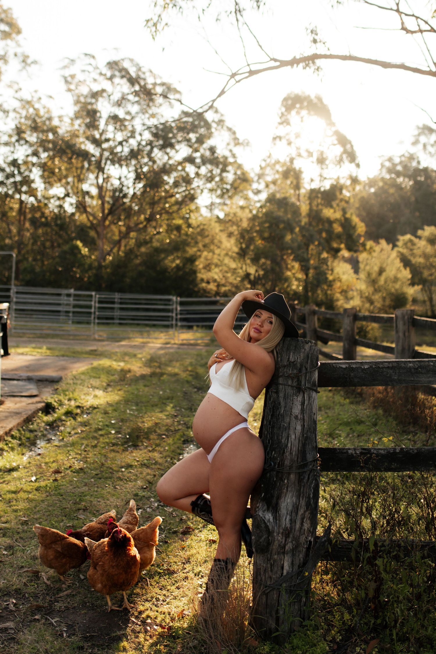 Rustic maternity photo with chickens by wooden fence at golden hour.