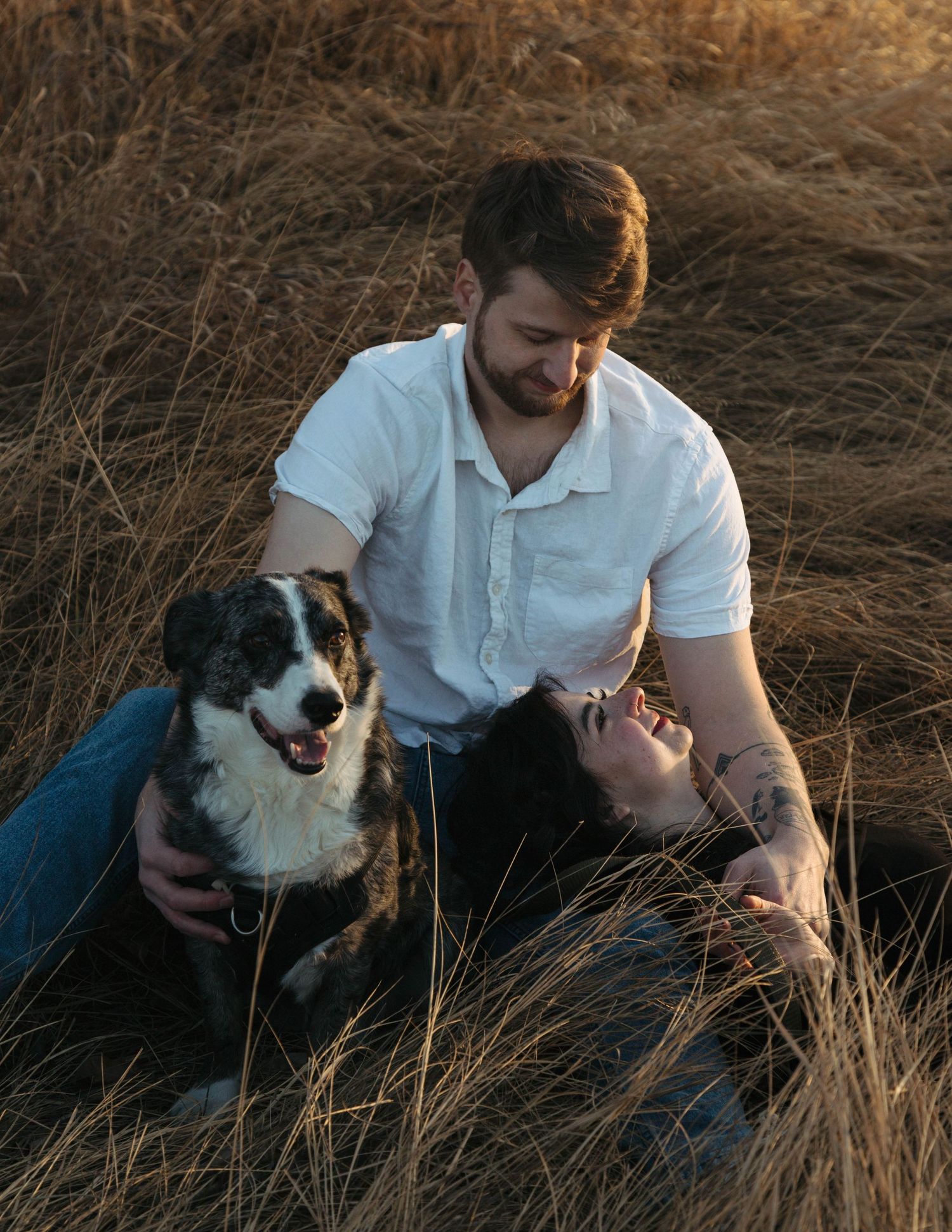 A person in a white polo shirt sits in tall golden grass while petting their Border Collie dog at sunset.