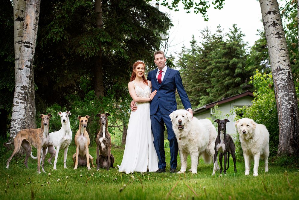 Family Photo, Wedding portrait, Pet Photographer near me, Red Deer Alberta Dog Photographer