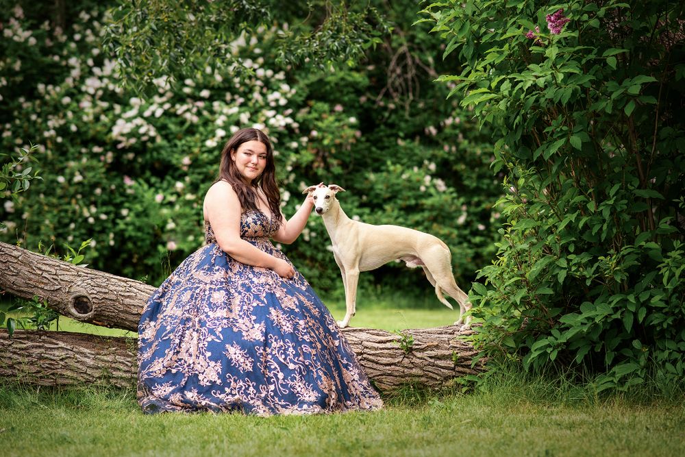 Conformation Ad, Advertisement, Grad Photos, Whippet, Pet Photographer near me, Red Deer Alberta Dog Photographer