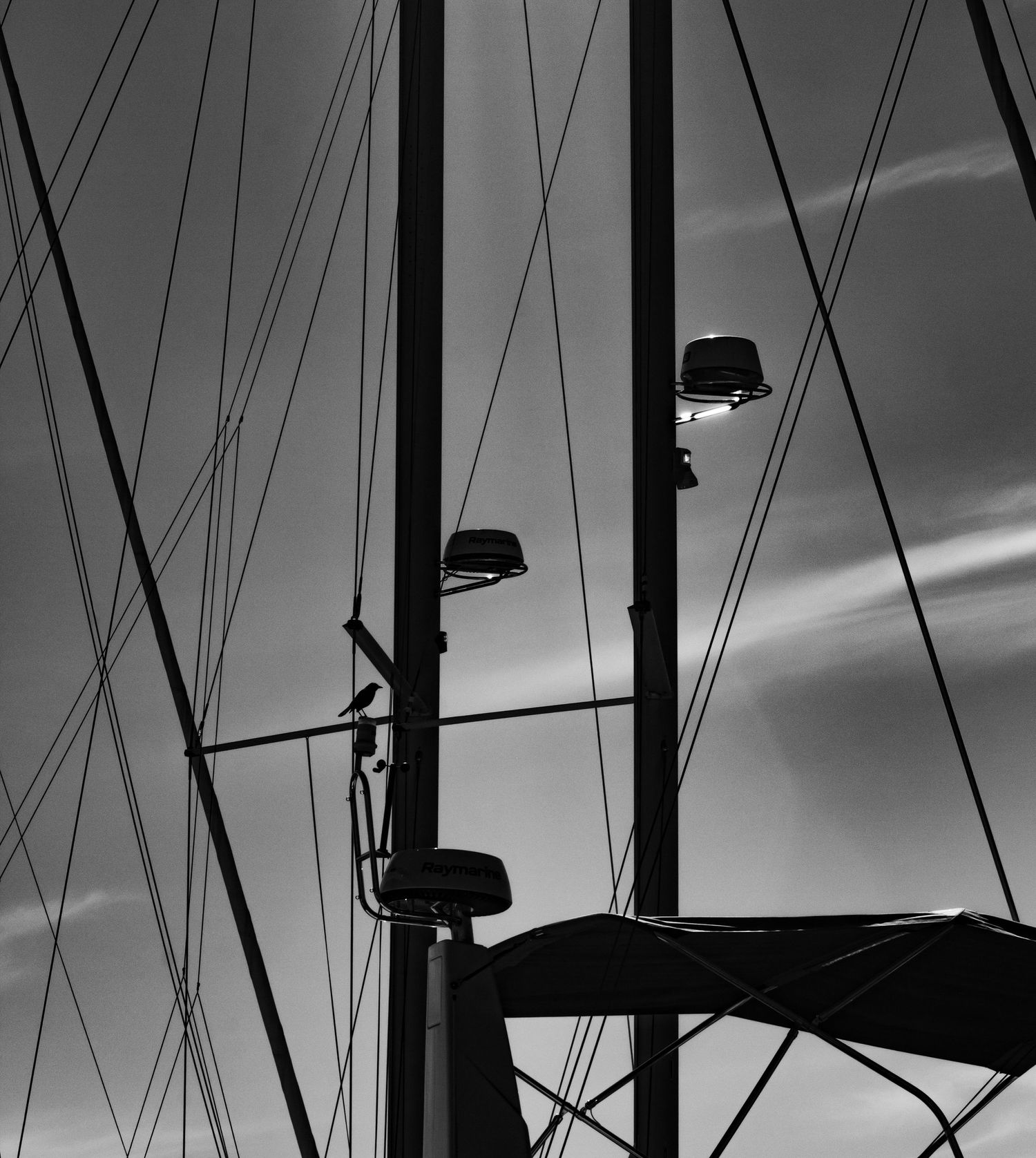 freelancer, South Carolina, photographer, fine art, wedding, commercial, nature, reenactment, gallery, freelance, monochrome, bridge, groom