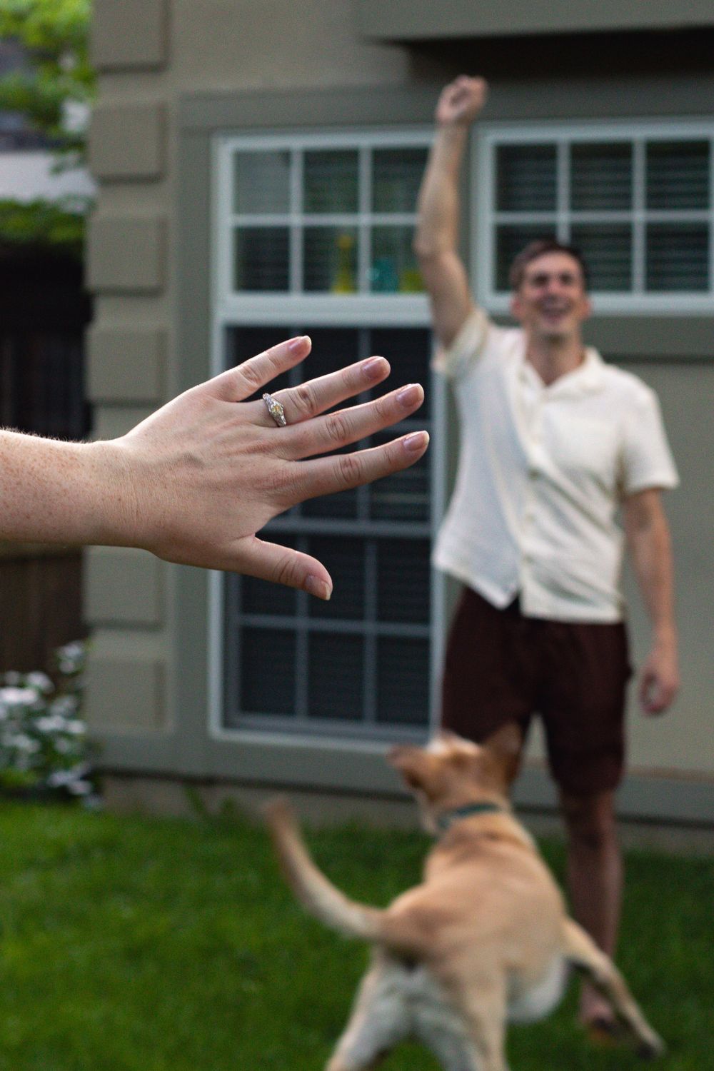A playful dog jumps up to catch something in a backyard setting.