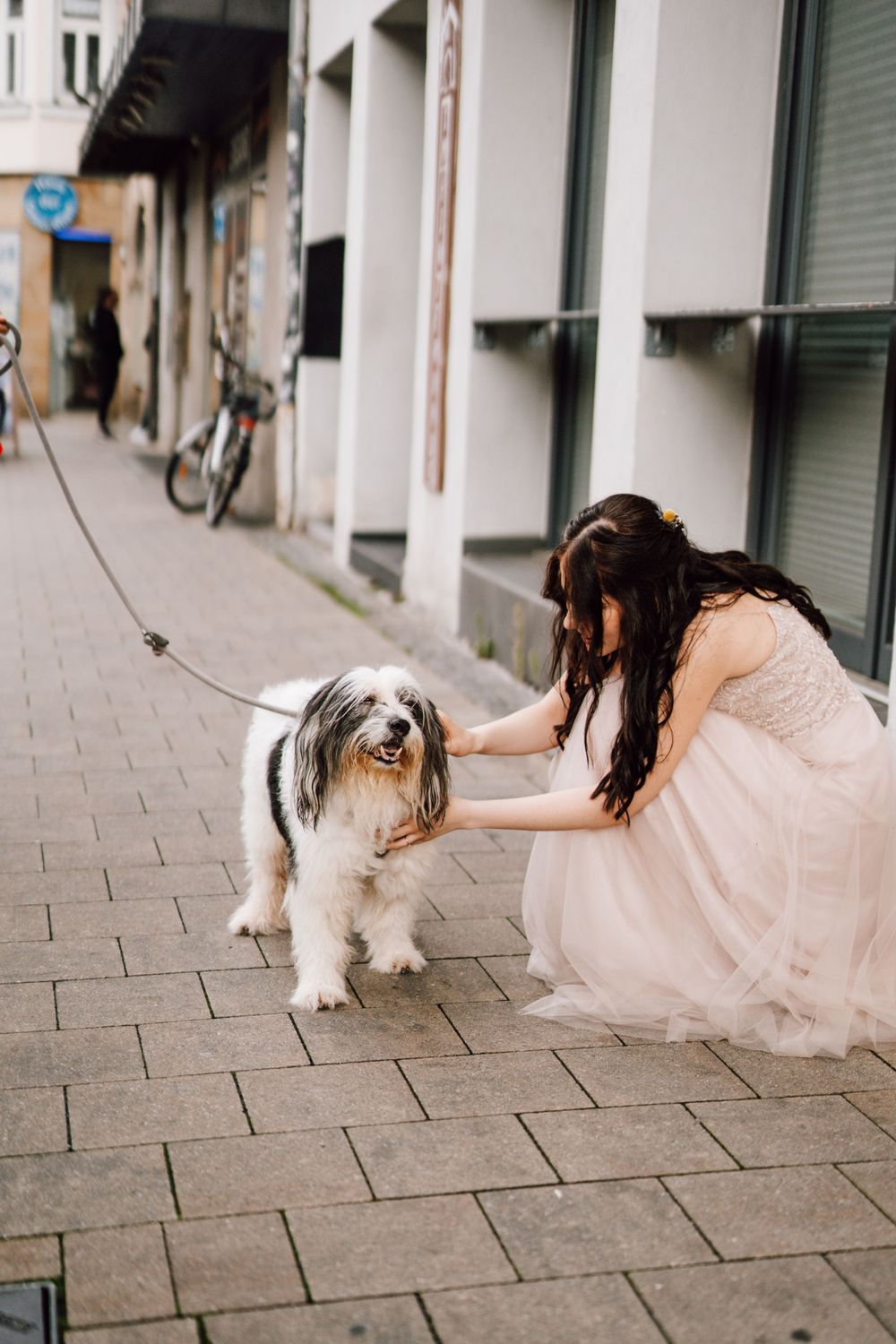 Fluffy white and black dog walking alongside someone in a pink dress on stone pavement.