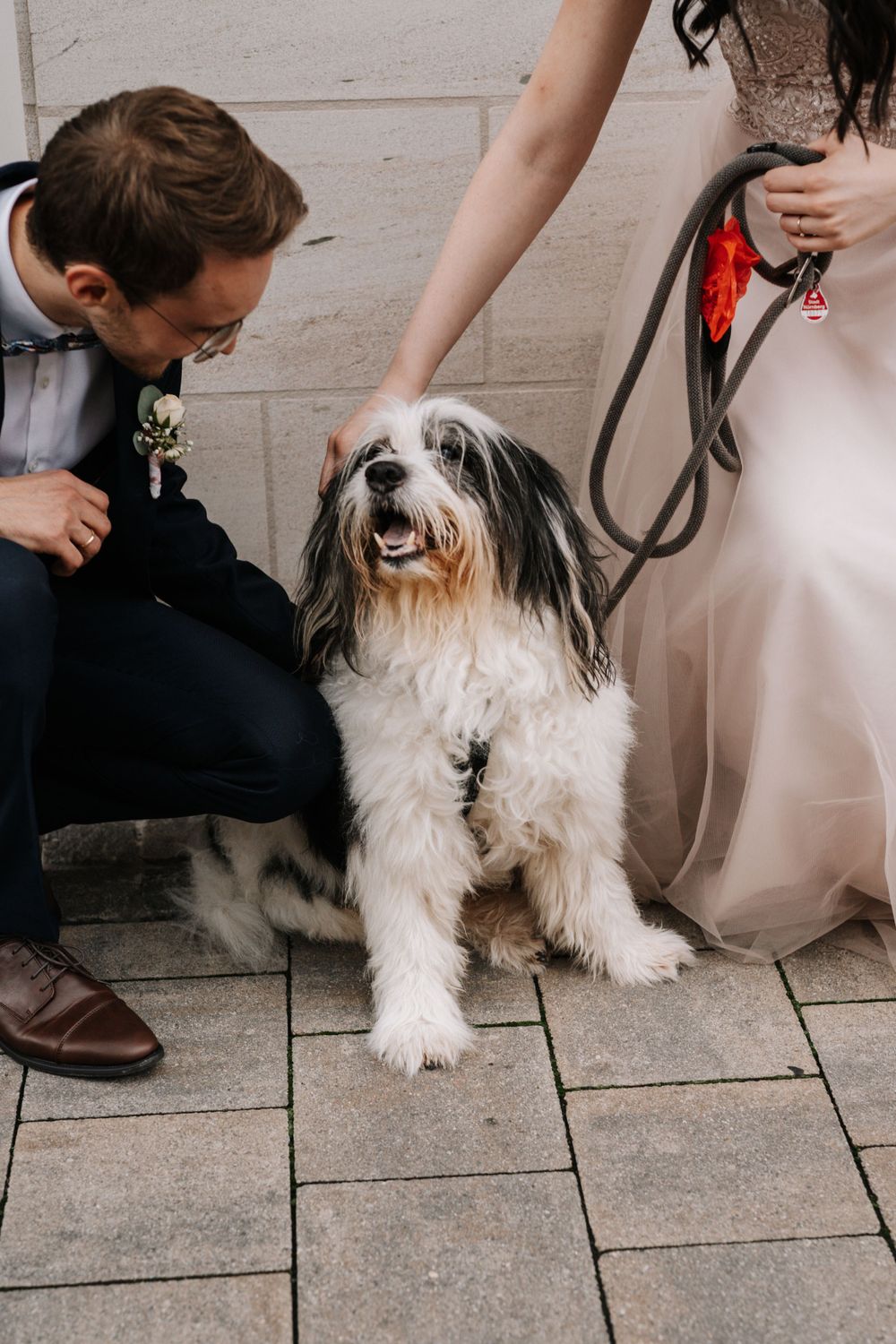 Shaggy white and black dog being petted while standing on stone pavement.